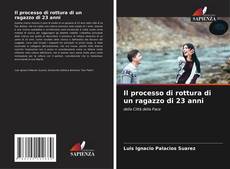 Il processo di rottura di un ragazzo di 23 anni的封面