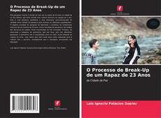 Copertina di O Processo de Break-Up de um Rapaz de 23 Anos
