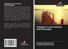 Indagare la prevalenza dell'imbroglio的封面