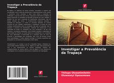 Bookcover of Investigar a Prevalência da Trapaça