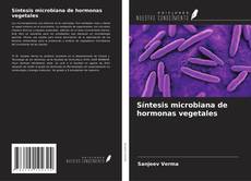 Buchcover von Síntesis microbiana de hormonas vegetales