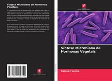 Bookcover of Síntese Microbiana de Hormonas Vegetais