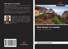Risk Areas in Luanda的封面