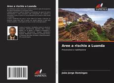 Buchcover von Aree a rischio a Luanda