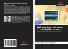 African migration, route to the Mediterranean的封面