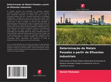 Capa do livro de Determinação de Metais Pesados a partir de Efluentes Industriais 