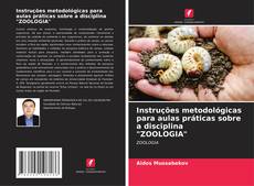 Instruções metodológicas para aulas práticas sobre a disciplina "ZOOLOGIA" kitap kapağı