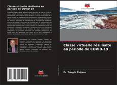 Classe virtuelle résiliente en période de COVID-19 kitap kapağı
