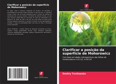 Capa do livro de Clarificar a posição da superfície de Mohorowicz 