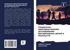 Обложка Социально-пространственное исследование беспризорных детей в Калькутте