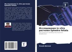Copertina di Исследования in vitro растения Ephedra foliata