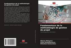Bookcover of Fondamentaux de la méthodologie de gestion de projet