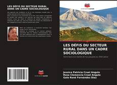 Bookcover of LES DÉFIS DU SECTEUR RURAL DANS UN CADRE SOCIOLOGIQUE