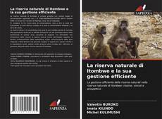 La riserva naturale di Itombwe e la sua gestione efficiente的封面