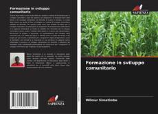 Capa do livro de Formazione in sviluppo comunitario 