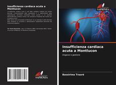 Capa do livro de Insufficienza cardiaca acuta a Montlucon 