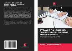 Copertina di ATRAVÉS DA LENTE DO CONSTITUINTE: DIREITOS FUNDAMENTAIS