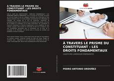 Buchcover von À TRAVERS LE PRISME DU CONSTITUANT : LES DROITS FONDAMENTAUX