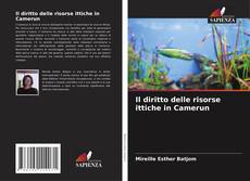 Il diritto delle risorse ittiche in Camerun的封面