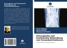Couverture de Chirurgische und funktionelle Behandlung von Fersenbeinfrakturen.