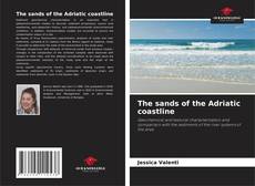 The sands of the Adriatic coastline的封面