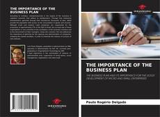 THE IMPORTANCE OF THE BUSINESS PLAN的封面