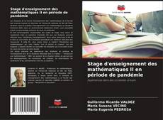 Buchcover von Stage d'enseignement des mathématiques II en période de pandémie