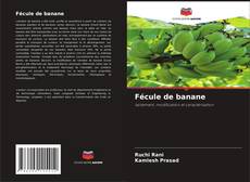 Buchcover von Fécule de banane