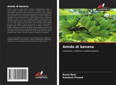 Buchcover von Amido di banana