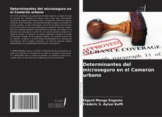Couverture de Determinantes del microseguro en el Camerún urbano