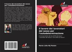 Copertina di Il lavoro dei lavoratori del sesso per l'autodeterminazione