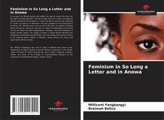 Feminism in So Long a Letter and in Anowa的封面