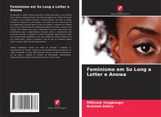 Buchcover von Feminismo em So Long a Letter e Anowa