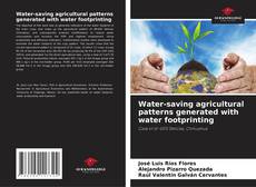 Water-saving agricultural patterns generated with water footprinting的封面
