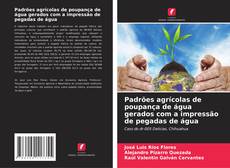 Bookcover of Padrões agrícolas de poupança de água gerados com a impressão de pegadas de água