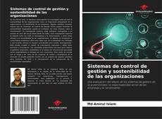 Sistemas de control de gestión y sostenibilidad de las organizaciones的封面