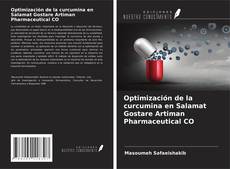Buchcover von Optimización de la curcumina en Salamat Gostare Artiman Pharmaceutical CO
