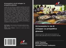 Un'economia in via di sviluppo: La prospettiva ghanese的封面