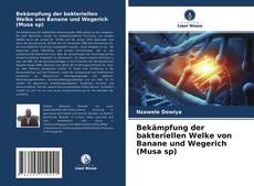 Обложка Bekämpfung der bakteriellen Welke von Banane und Wegerich (Musa sp)