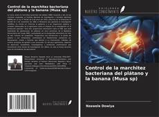 Buchcover von Control de la marchitez bacteriana del plátano y la banana (Musa sp)