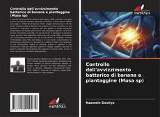 Bookcover of Controllo dell'avvizzimento batterico di banana e piantaggine (Musa sp)