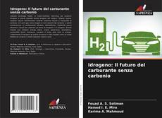 Idrogeno: Il futuro del carburante senza carbonio的封面