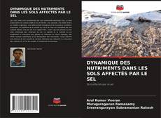 Borítókép a  DYNAMIQUE DES NUTRIMENTS DANS LES SOLS AFFECTÉS PAR LE SEL - hoz