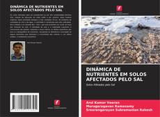 Copertina di DINÂMICA DE NUTRIENTES EM SOLOS AFECTADOS PELO SAL