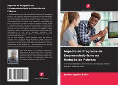 Impacto do Programa de Empreendedorismo na Redução da Pobreza kitap kapağı