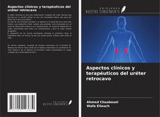 Обложка Aspectos clínicos y terapéuticos del uréter retrocavo