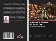 Universo di aziende molto piccole kitap kapağı