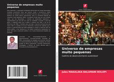 Couverture de Universo de empresas muito pequenas