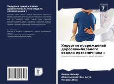 Capa do livro de Хирургия повреждений дорсолюмбального отдела позвоночника : 