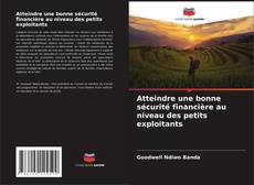 Buchcover von Atteindre une bonne sécurité financière au niveau des petits exploitants